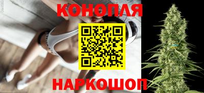 Альфа ПВП Тулун