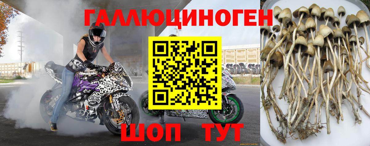 Псилоцибиновые грибы мухоморы Печора