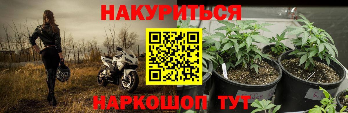 Конопля план Печора